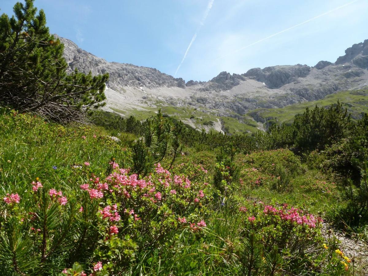 Auszeit Im Allgau Sonthofen Εξωτερικό φωτογραφία